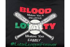 Logo for Latin American Coed Softball League Logo for Latin American Coed Softball League